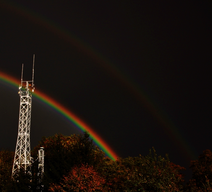 farben in der grauen welt