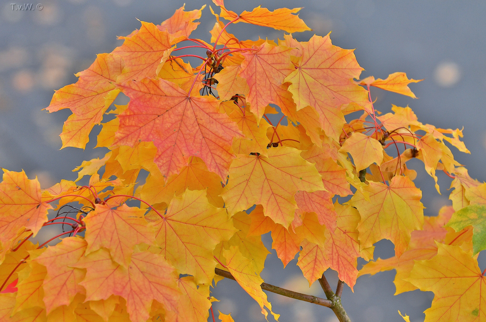 Farben in der Herbststimmung