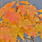 Farben in der Herbststimmung