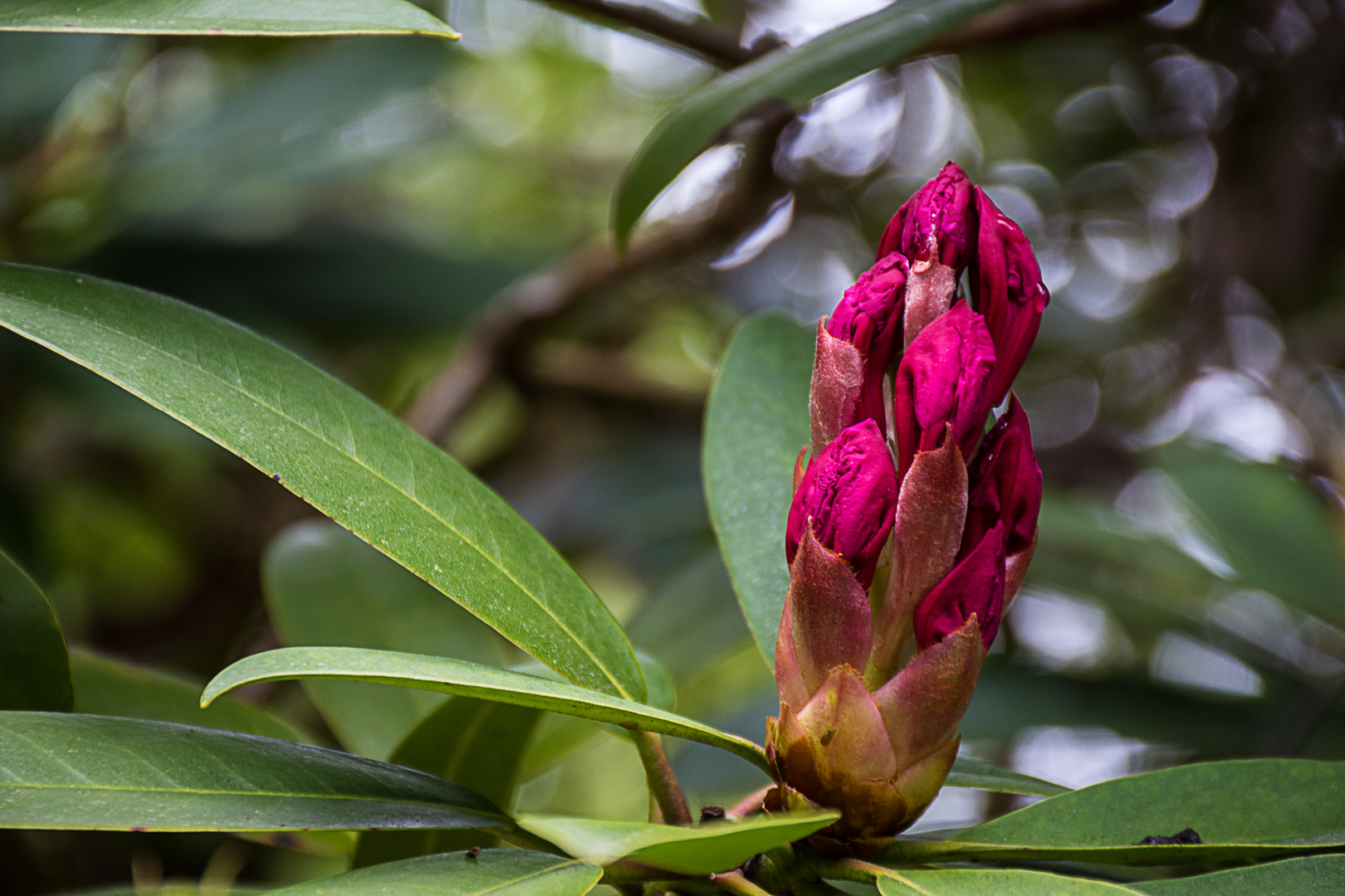  Farben in der Natur