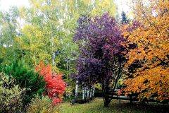 Farben in meinem Garten ....