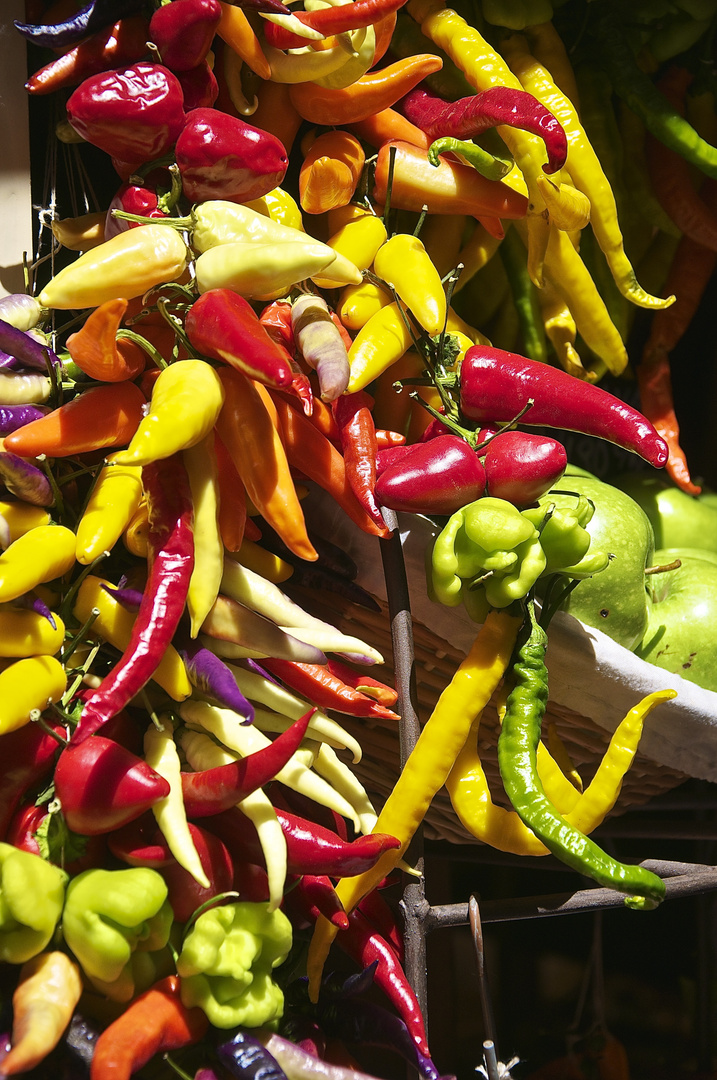 Farben in Palma