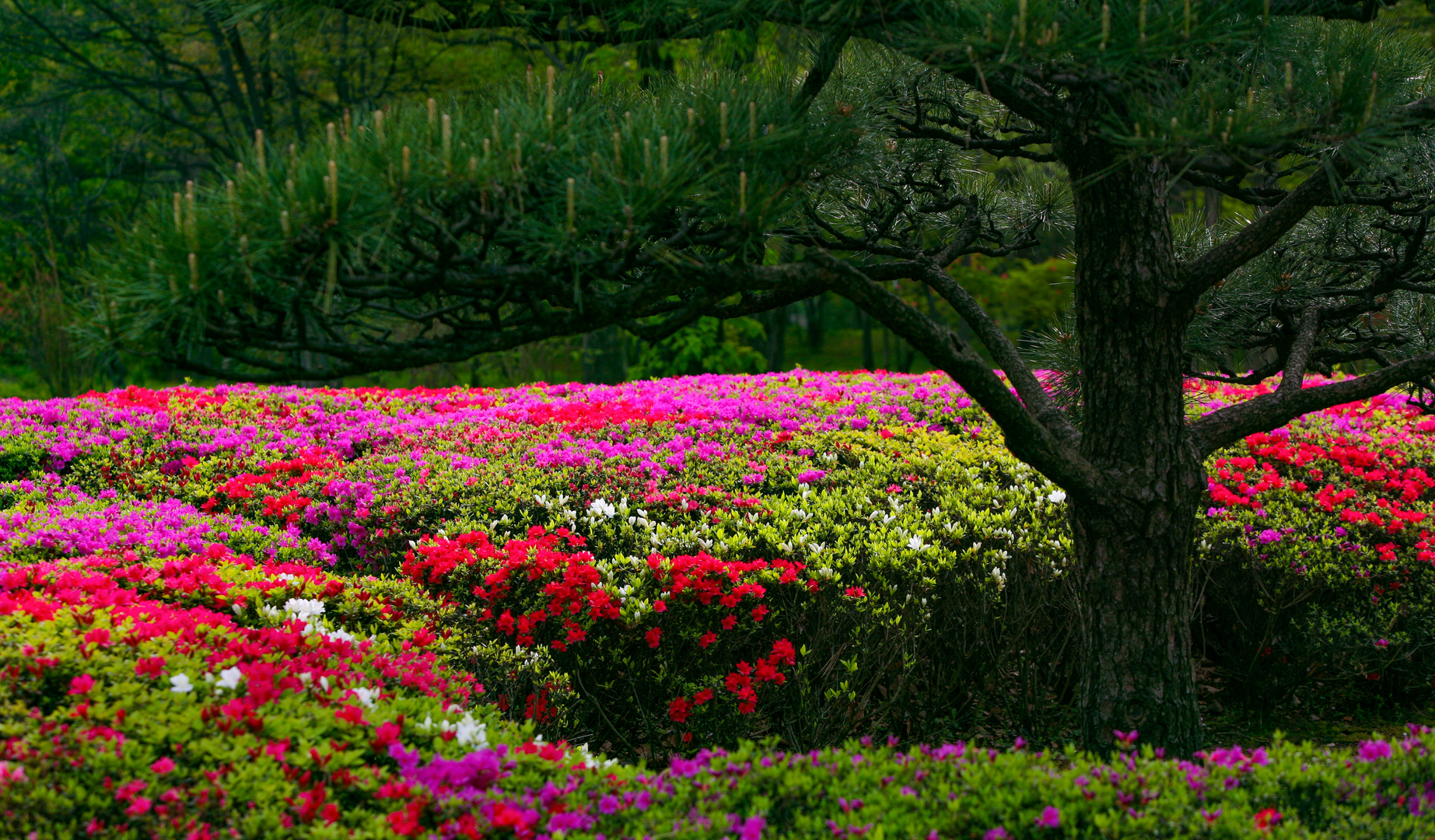 Farben in Tokyo