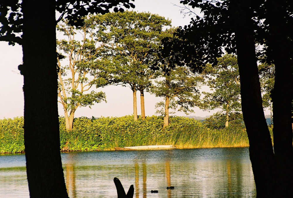 farben kurische nehrung sommer 08