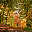 Farben-Lauf