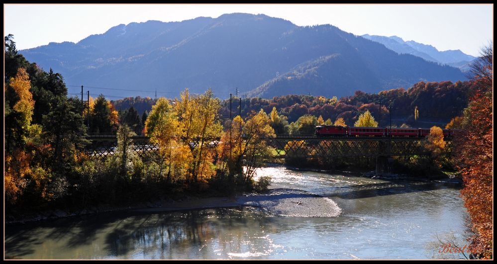 Farben Pracht am Rhein