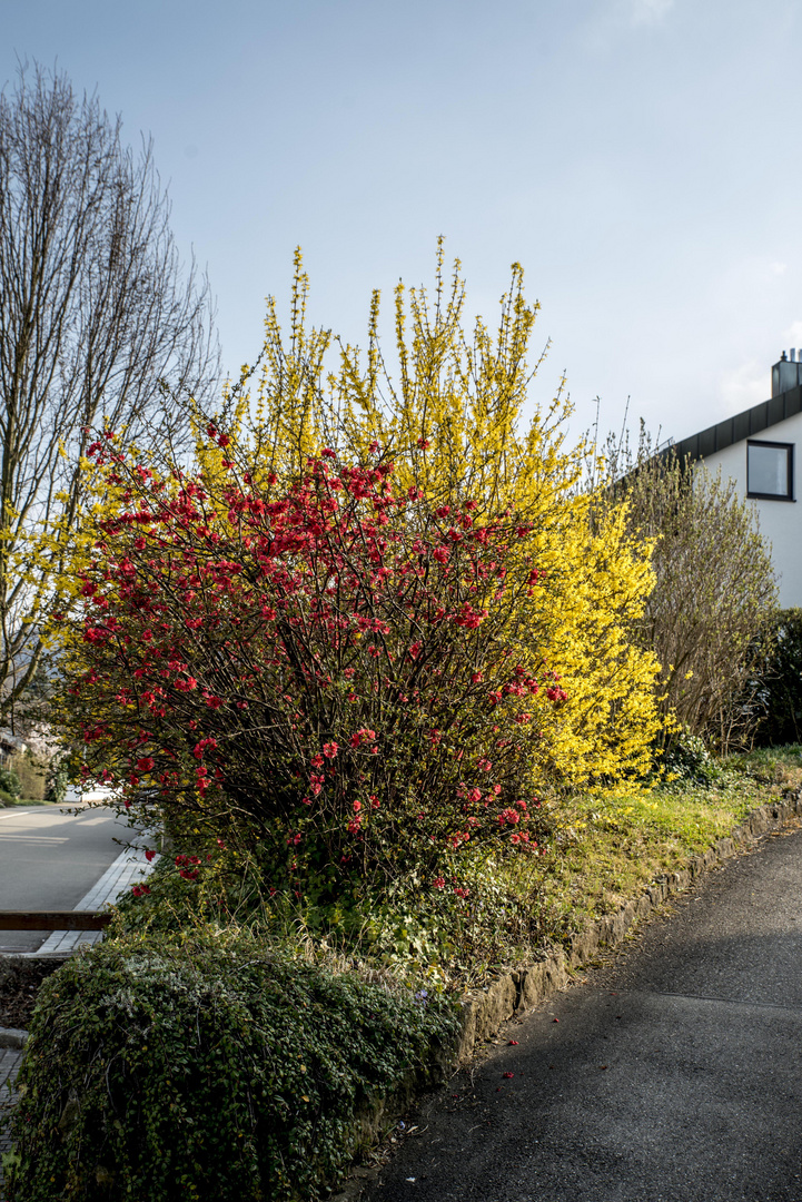 Farben schmücken Straßen und Wege ..