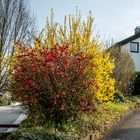 Farben schmücken Straßen und Wege ..