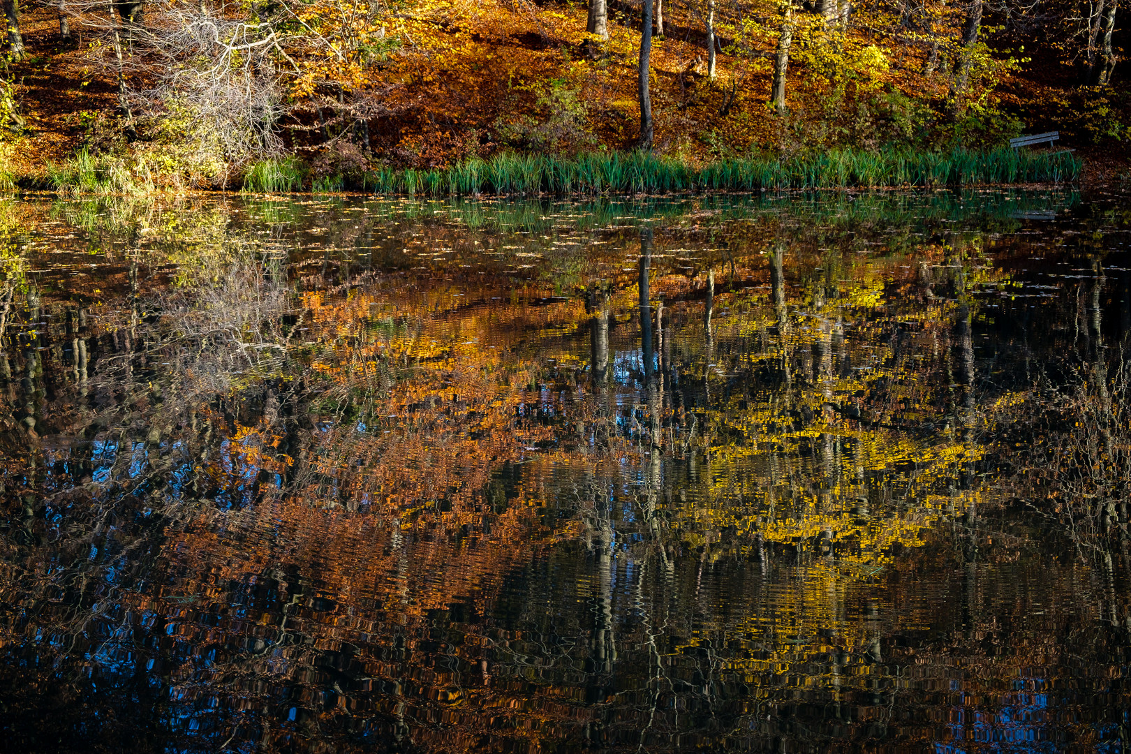 Farben sind Wellen