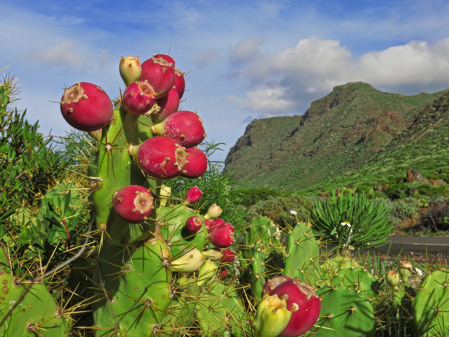 Farben Teneriffas