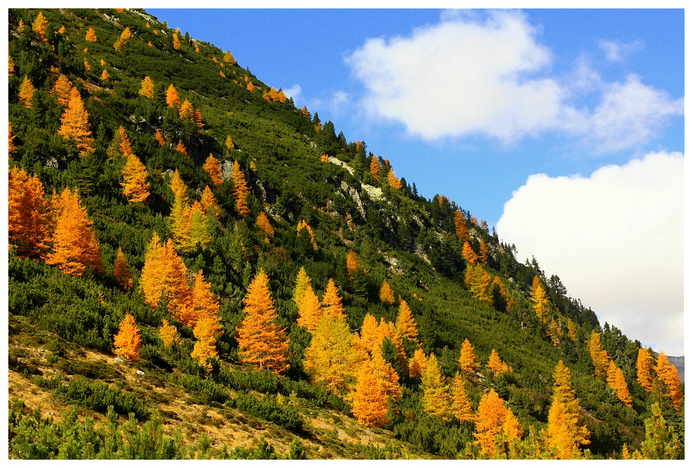 "Farben-Terror" in Livigno