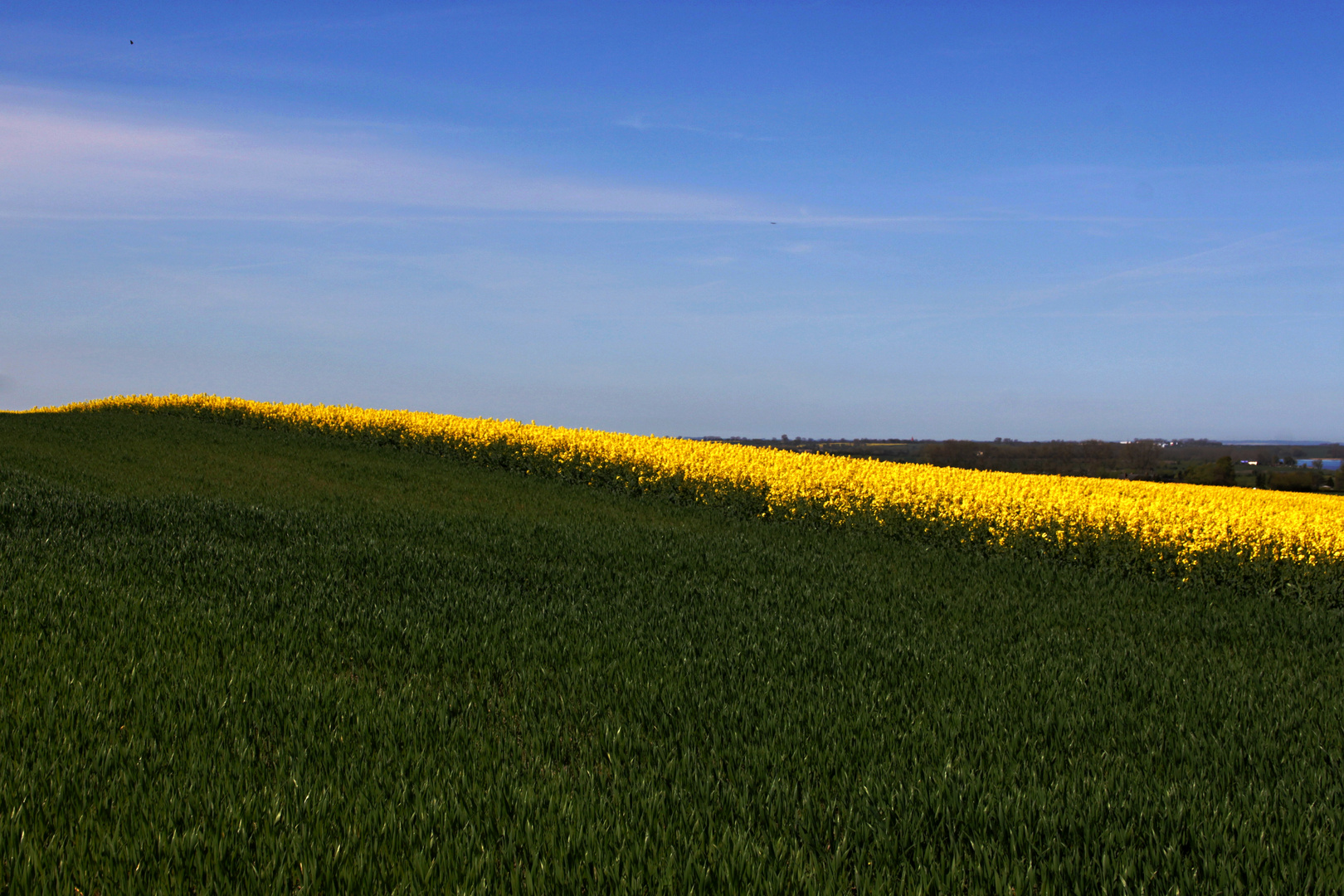 Farben und Formen 