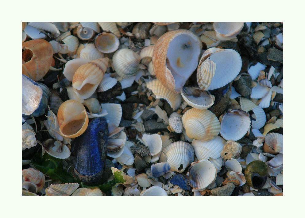 Farben und Formen am Strand...