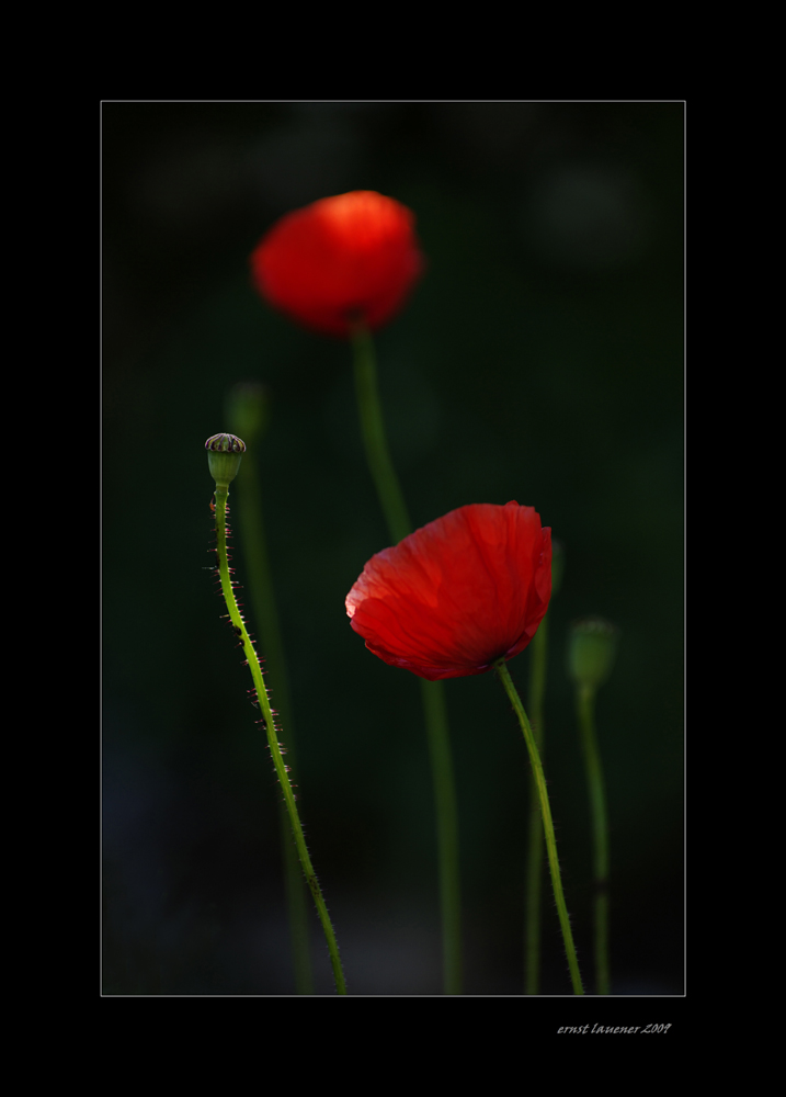 farben und licht...