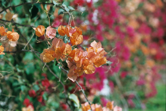 Farben und Schichten