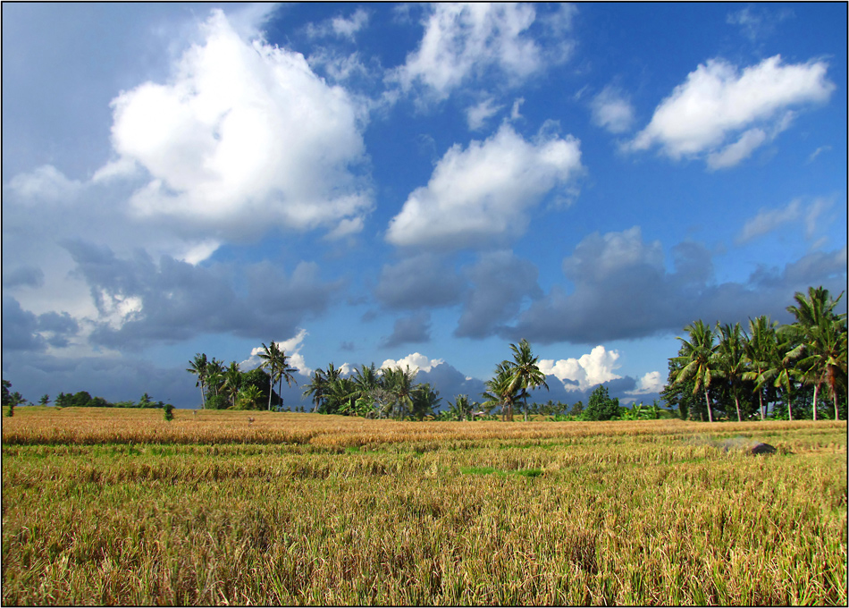 Farben und Wolken