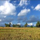 Farben und Wolken