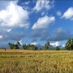 Farben und Wolken