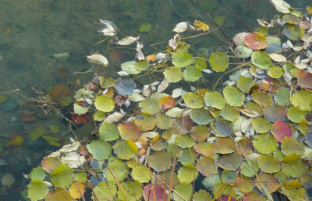 Farben vergehen