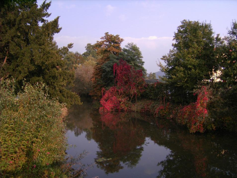 Farben, wie nur die Natur sie kennt