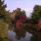 Farben, wie nur die Natur sie kennt