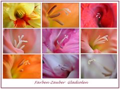 Farben-Zauber...