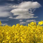 Farben zum Verlieben