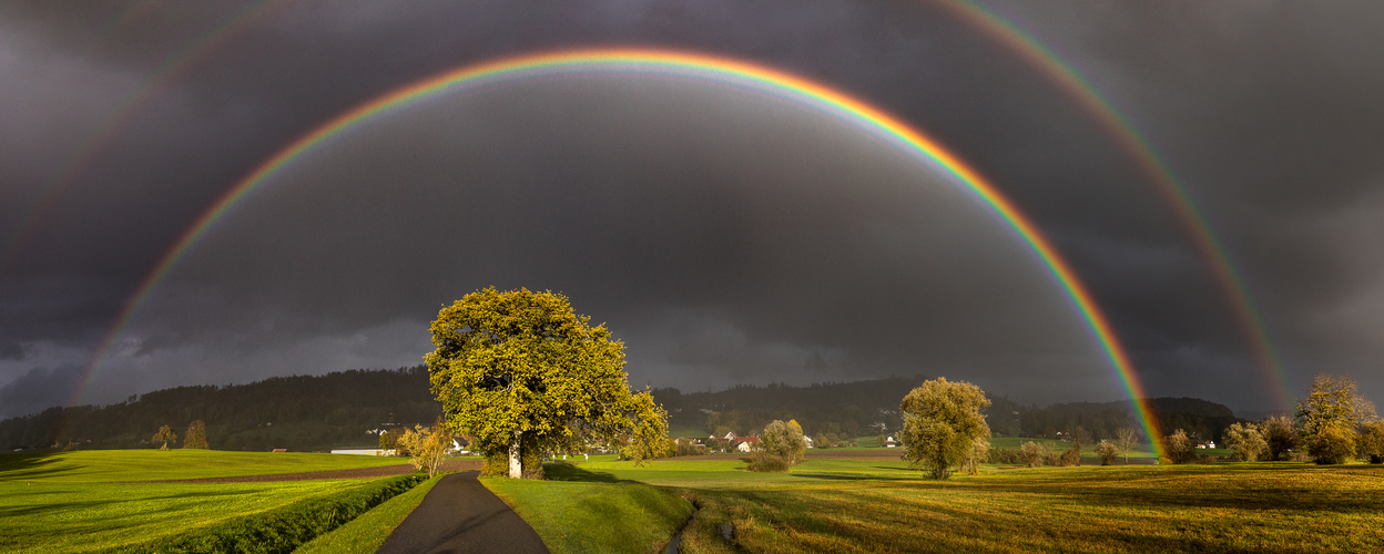 Farbendach Foto & Bild | world, natur, schweiz Bilder auf fotocommunity