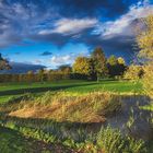 Farbenfaszination am Weiher