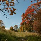 Farbenfeuer im Herbst