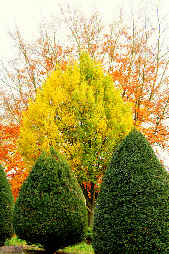 Farbenfreude und Formenvielfalt im Herbst