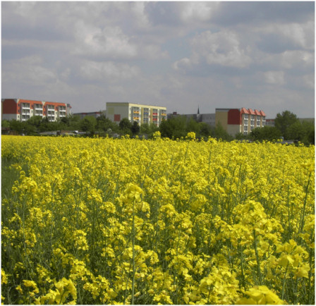 Farbenfreundliche Aussicht