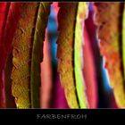 Farbenfroh