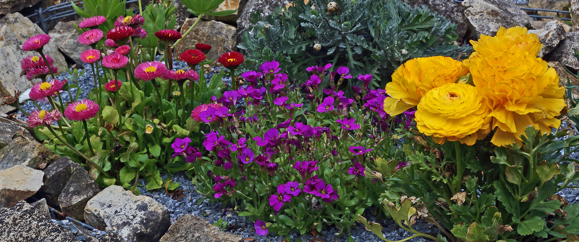 Farbenfroh aus dem Garten mal mit anderen Farbenkombinationen...