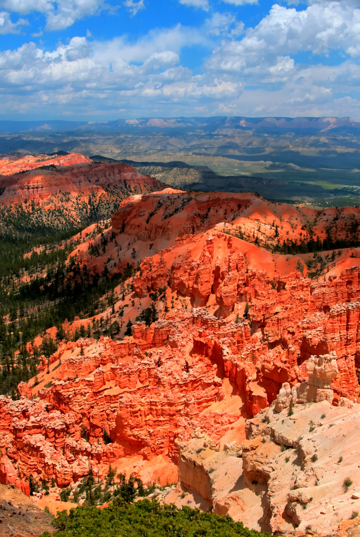 Farbenfroh- Bryce Canyon