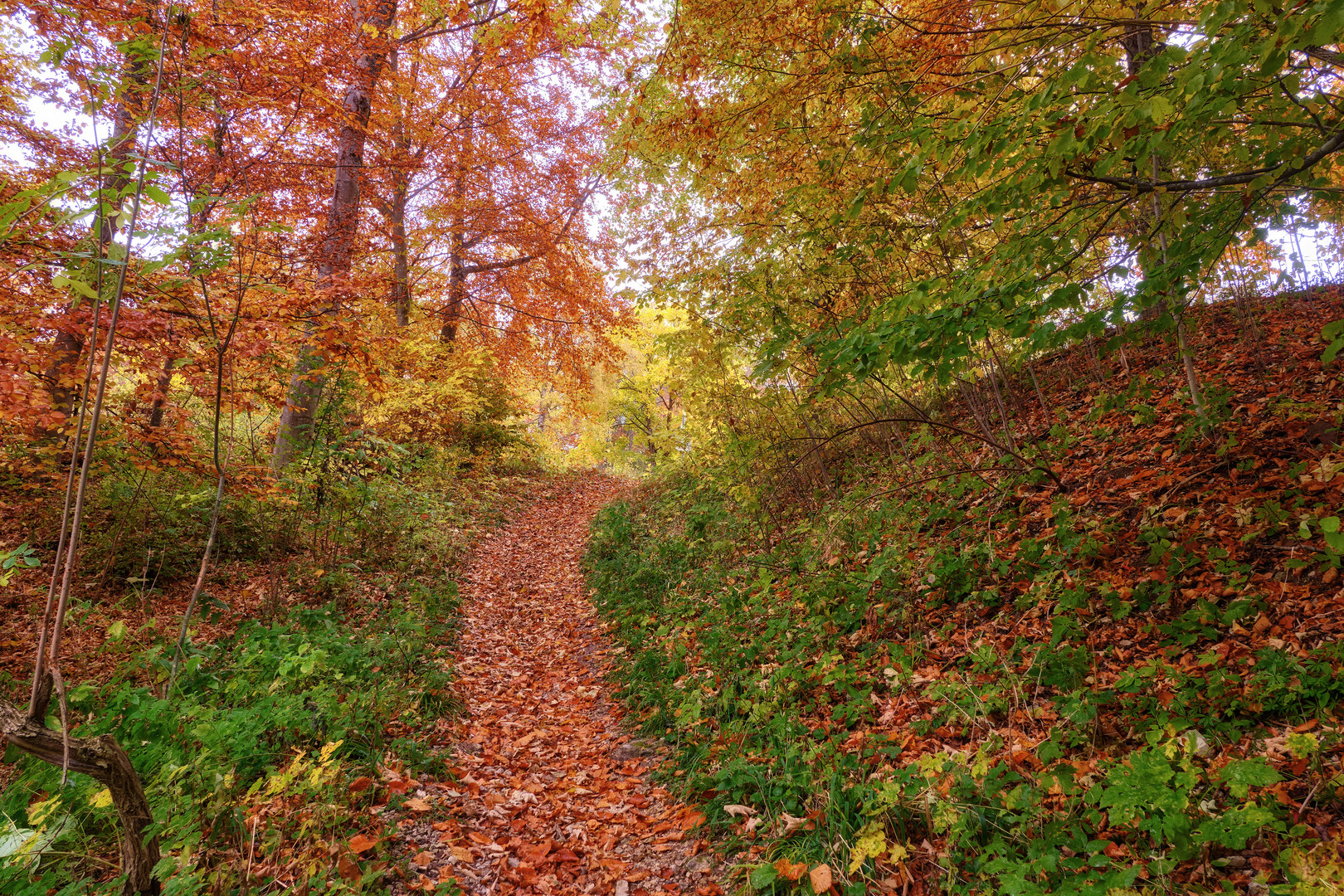 Farbenfroh durch den Herbst