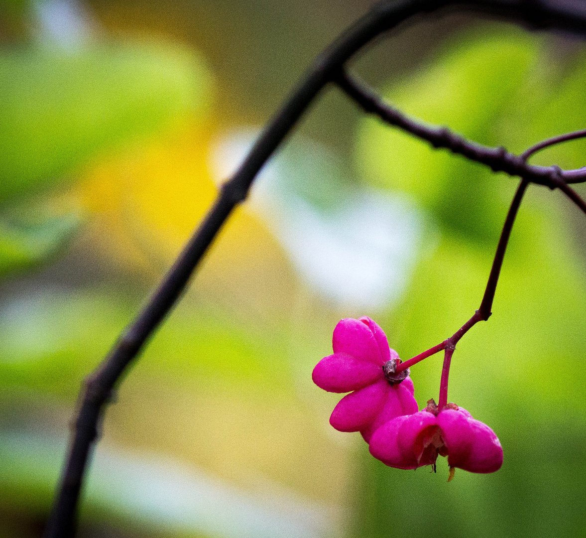 Farbenfroh in den Herbst