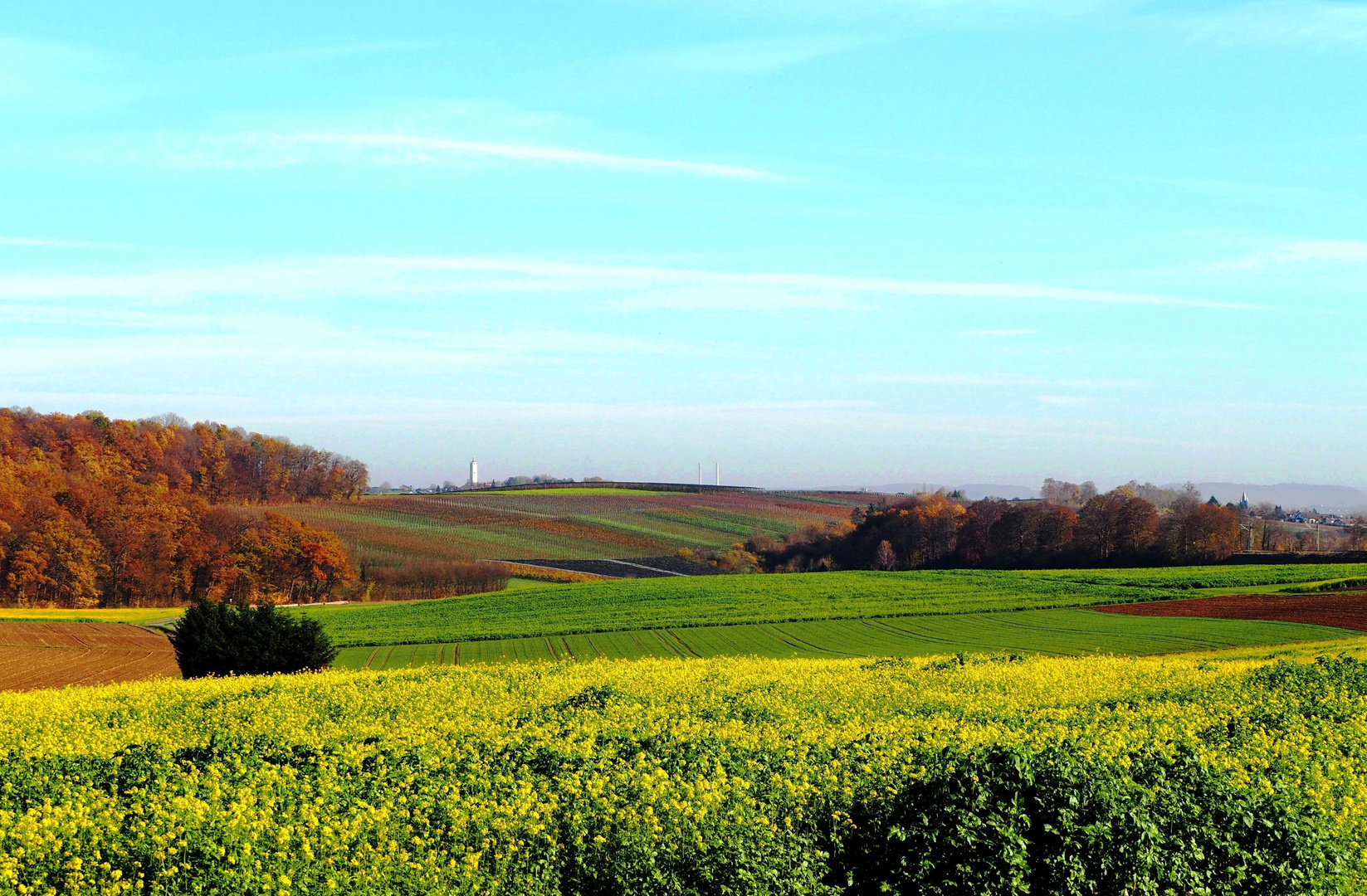 Farbenfroh ist noch die Natur