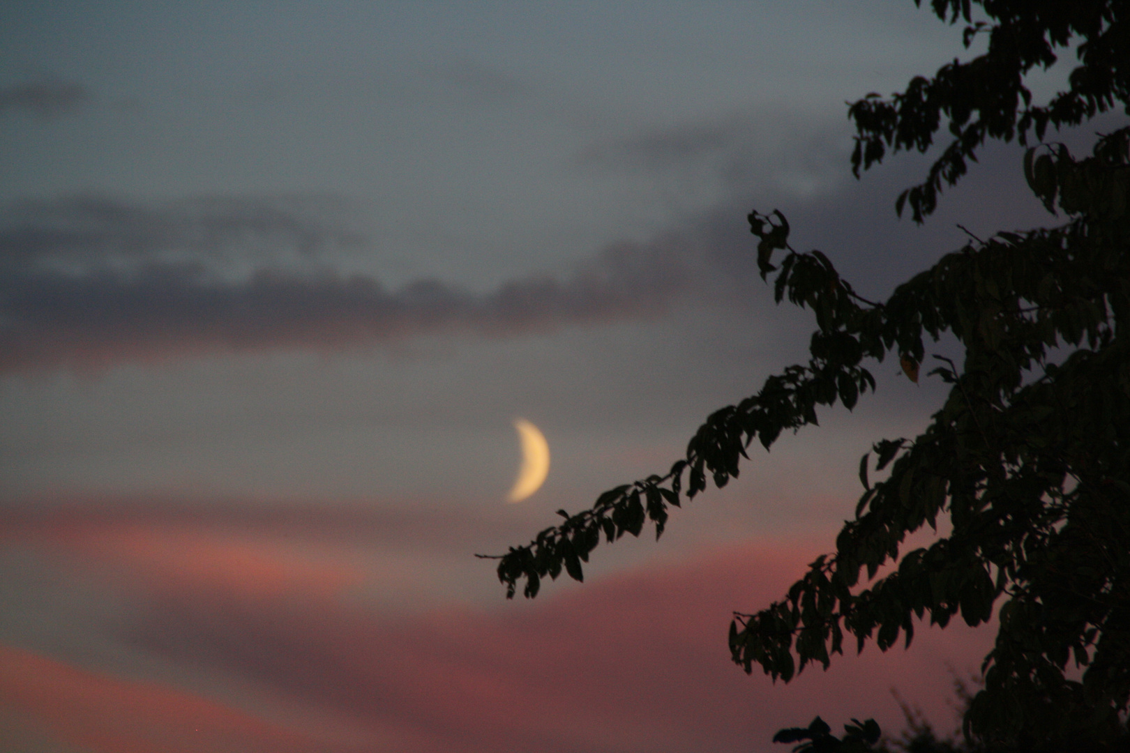 farbenfrohe Abendstimmung