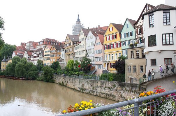 Kastenfrosch Fotos Bilder Fotograf Aus Ludwigshafen Am Rhein Deutschland Fotocommunity