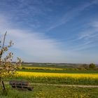 farbenfrohe Aussicht