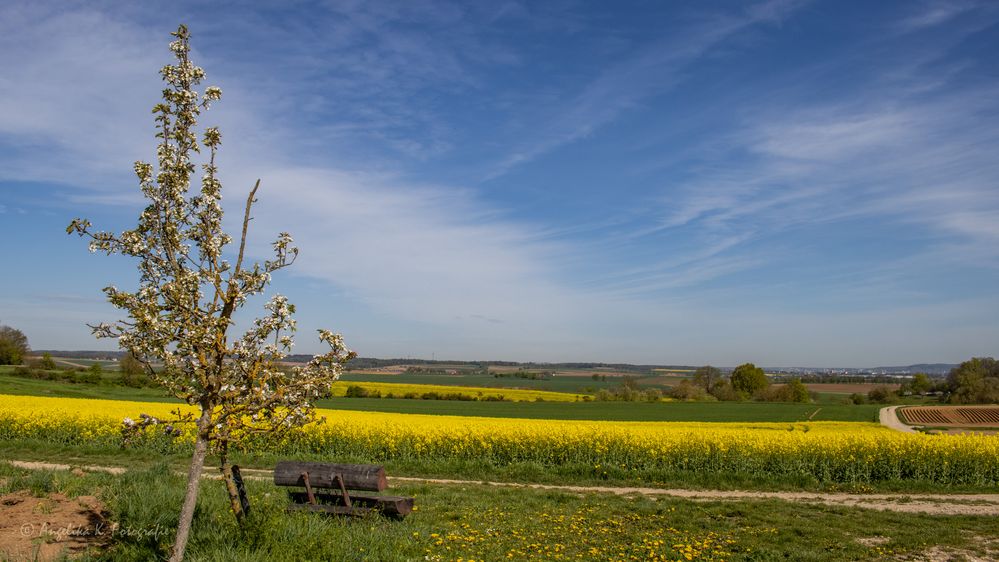 farbenfrohe Aussicht