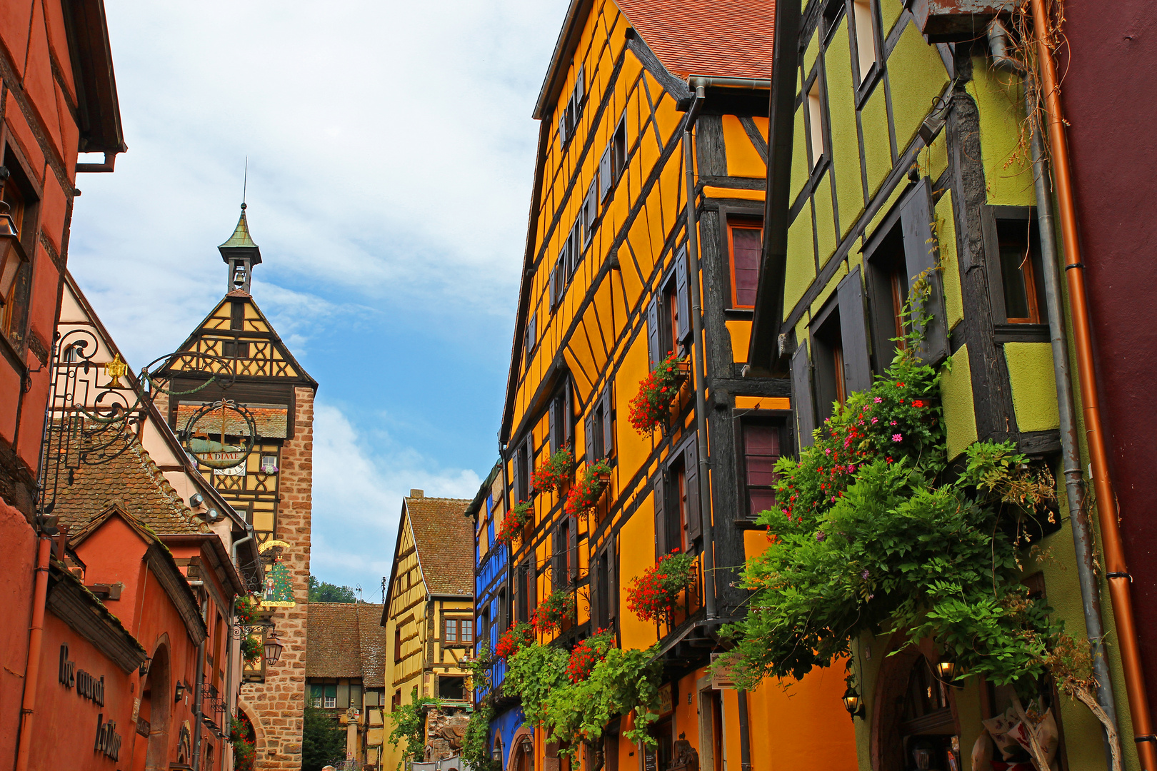 Farbenfrohe Fachwerkhäuser in Riquewihr im Elsass