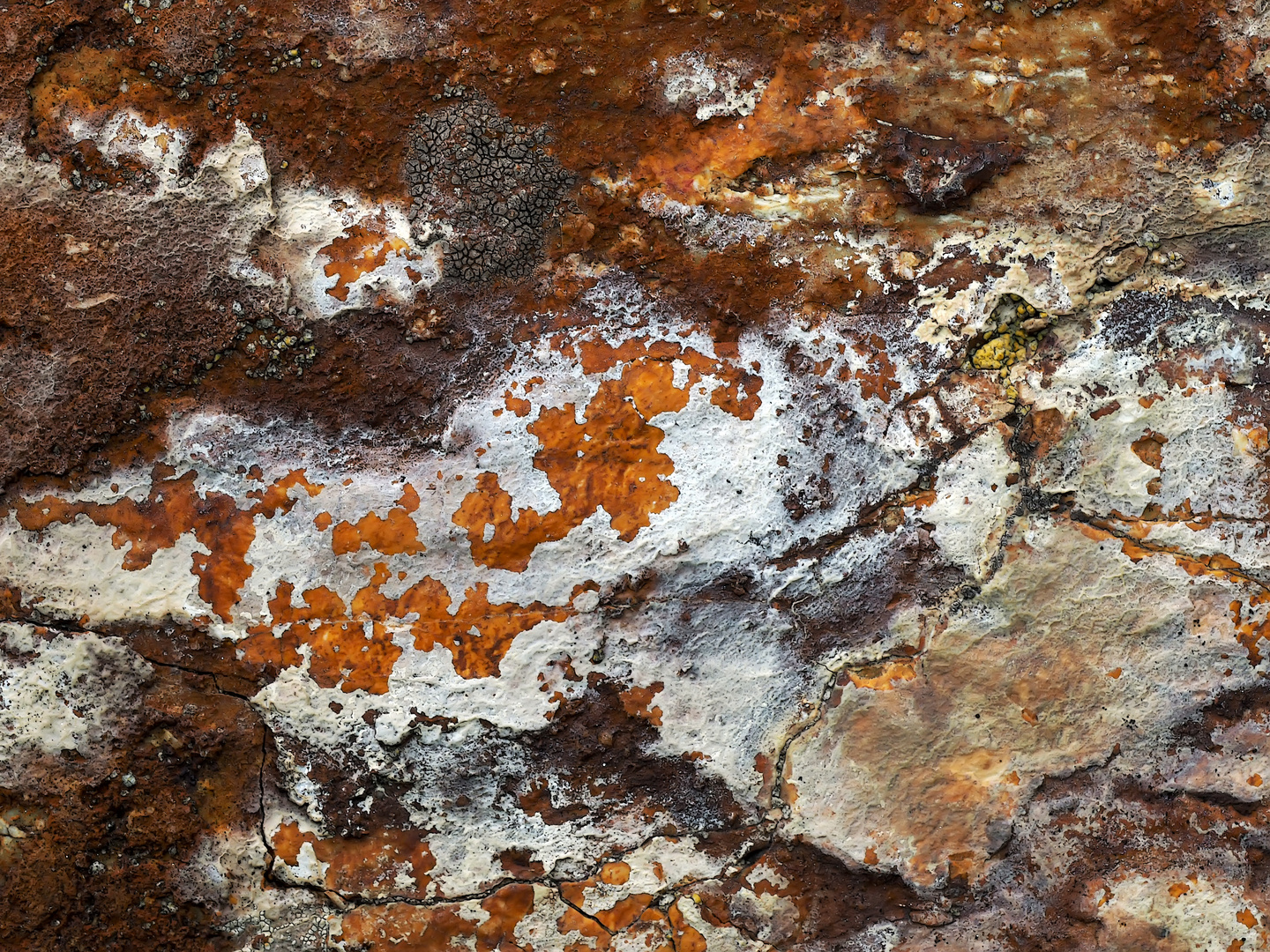 Farbenfrohe Felsen-Dekoration mit Flechten und Mineralien. - Lichens et minéraux décorent le roc.