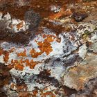 Farbenfrohe Felsen-Dekoration mit Flechten und Mineralien. - Lichens et minéraux décorent le roc.
