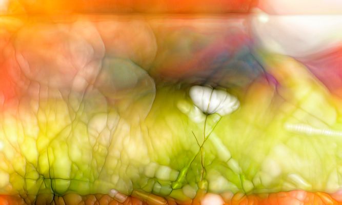 farbenfrohe frohe weihnchten allen ...