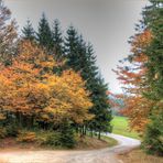 Farbenfrohe Herbststimmung I