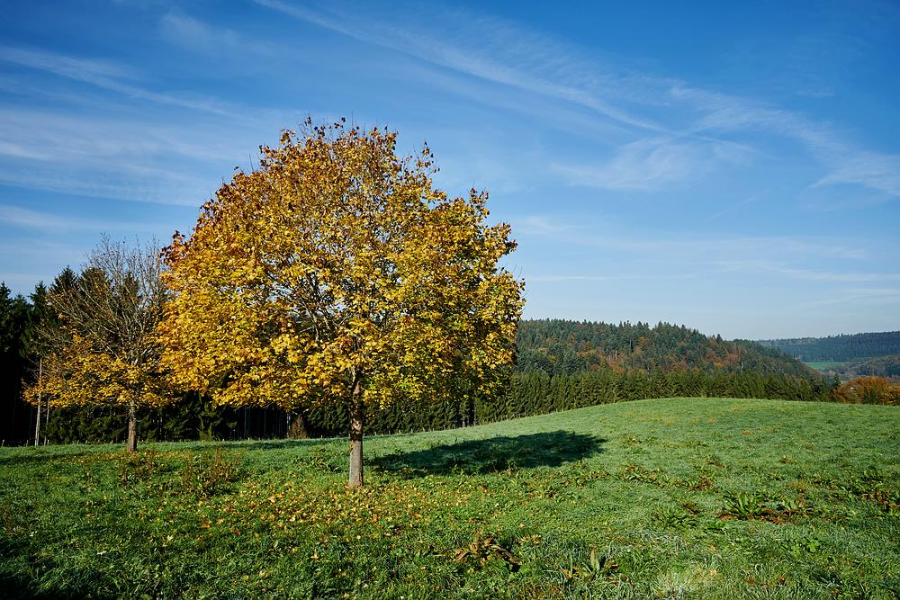 Farbenfrohe Landschaft