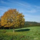 Farbenfrohe Landschaft