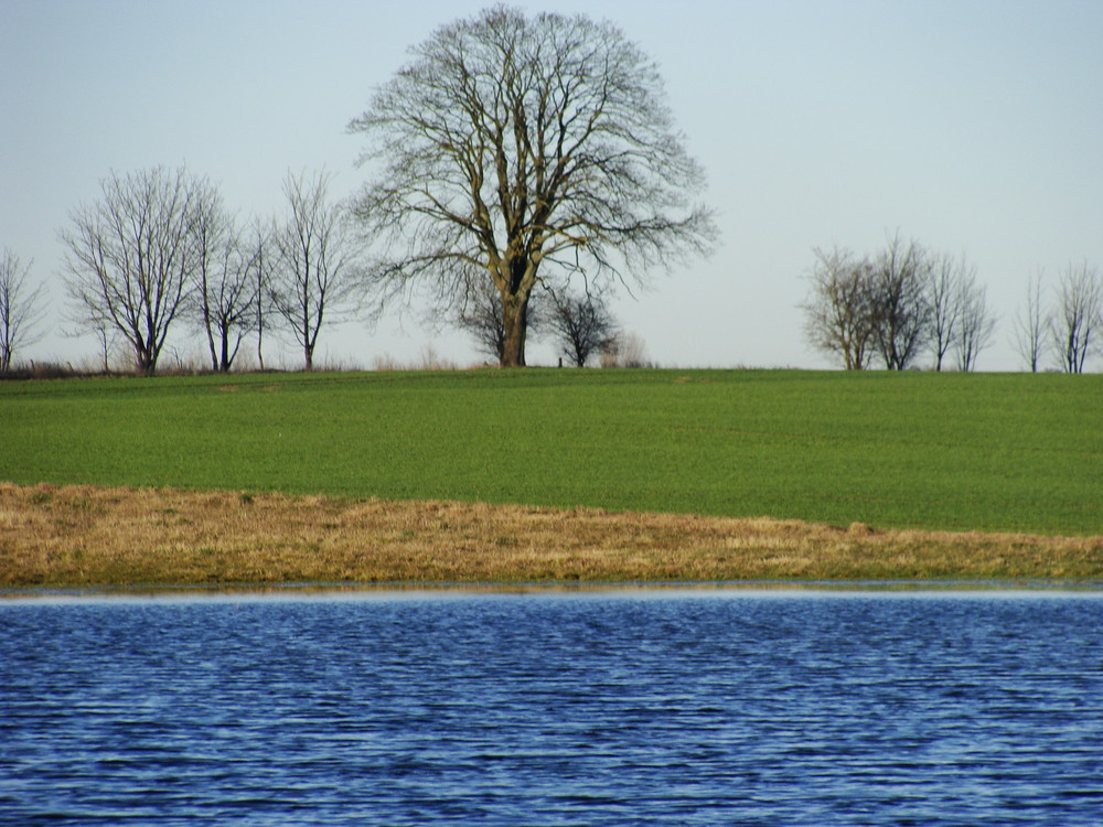 Farbenfrohe Landschaft